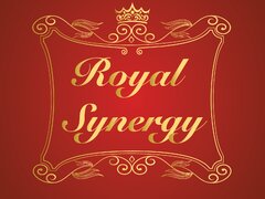 Royal Synergy - Servicii pentru afaceri