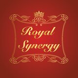 Royal Synergy - Servicii pentru afaceri
